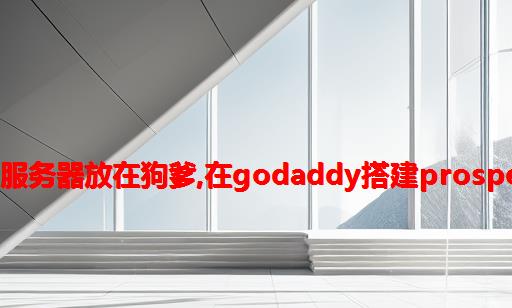 做擦边网站 服务器放在狗爹,在GoDaddy搭建Prosper202服务器